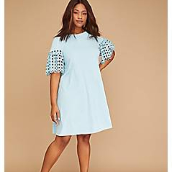 lane bryant swing dress